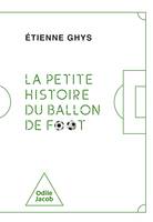 La Petite histoire du ballon de foot