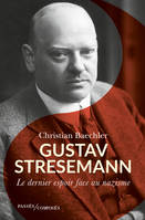 Gustav Stresemann, Le dernier espoir face au nazisme