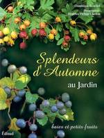 Splendeurs d'automne au jardin - baies et petits fruits, baies et petits fruits