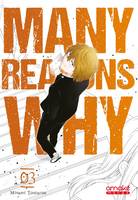 Many Reasons Why - tome 3 (VF)
