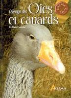 **ELEVAGE DES OIES ET CANARDS