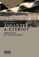 Amiante et eternit, Fortunes et forfaitures