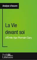 La Vie devant soi de Romain Gary (Analyse approfondie), Approfondissez votre lecture des romans classiques et modernes avec Profil-Litteraire.fr