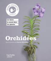 Orchidée