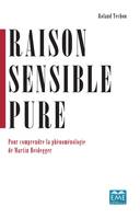 Raison sensible pure, Pour comprendre la phénoménologie de martin heidegger