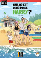 La famille PARFAIT à la plage, Mais où est donc passé Harry ?