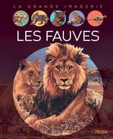 LES FAUVES