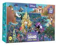 DISNEY - Coffret Le très grand Cherche et Trouve - Puzzle 250 pièces