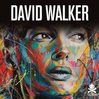 David Walker - Beautiful Chaos, Opus délits 47