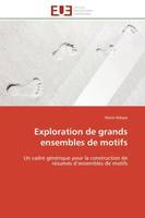 Exploration de grands ensembles de motifs, Un cadre générique pour la construction de résumés d'ensembles de motifs