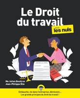 Le Droit du travail pour les Nuls, grand format, 6e éd