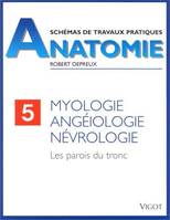 Anatomie, schémas de travaux pratiques., 5, Myologie, angéiologie, névrologie, Les parois du tronc