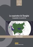 La coopération de Shanghai, Conceptualiser la nouvelle asie