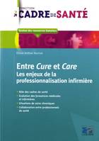 Entre Cure et Care, Les enjeux de la professionnalisation infirmière