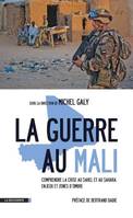 La guerre au Mali, comprendre la crise au Sahel et au Sahara, enjeux et zones d'ombre
