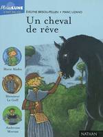 UN CHEVAL DE REVE