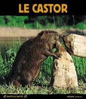 CASTOR (LE)