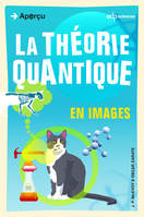 La théorie quantique en images