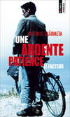 Une ardente patience, roman