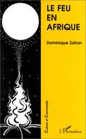 Le feu en Afrique, variations autour de l'oeuvre de H. A. Junod