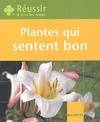 PLANTES QUI SENTENT BON