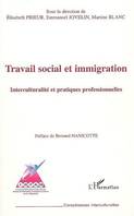 Travail social et immigration, Interculturalité et pratiques professionnelles