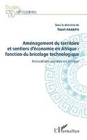 Aménagement du territoire et sentiers d'économie en Afrique, fonction du bricolage technologique, Innovations sociales en afrique