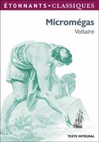 Micromégas