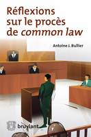 Réflexions sur le procès de <em>common law</em>