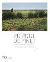 Picpoul de Pinet, Une odyssée viticole en Languedoc