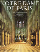 Architecture et Patrimoine Notre Dame de Paris