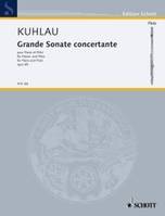 Grande Sonate concertante, op. 85. flute and piano.