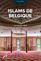Islams de Belgique, Enjeux et perspectives