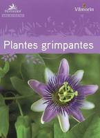 Guide des plantes grimpantes