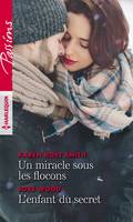 Un miracle sous les flocons - L'enfant du secret