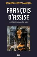 François d'Assise, Le génie religieux et le saint