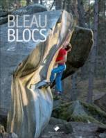 Bleau Blocs, 100 des plus beaux blocs de bleau