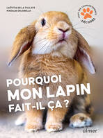 Pourquoi mon lapin fait-il ça ?