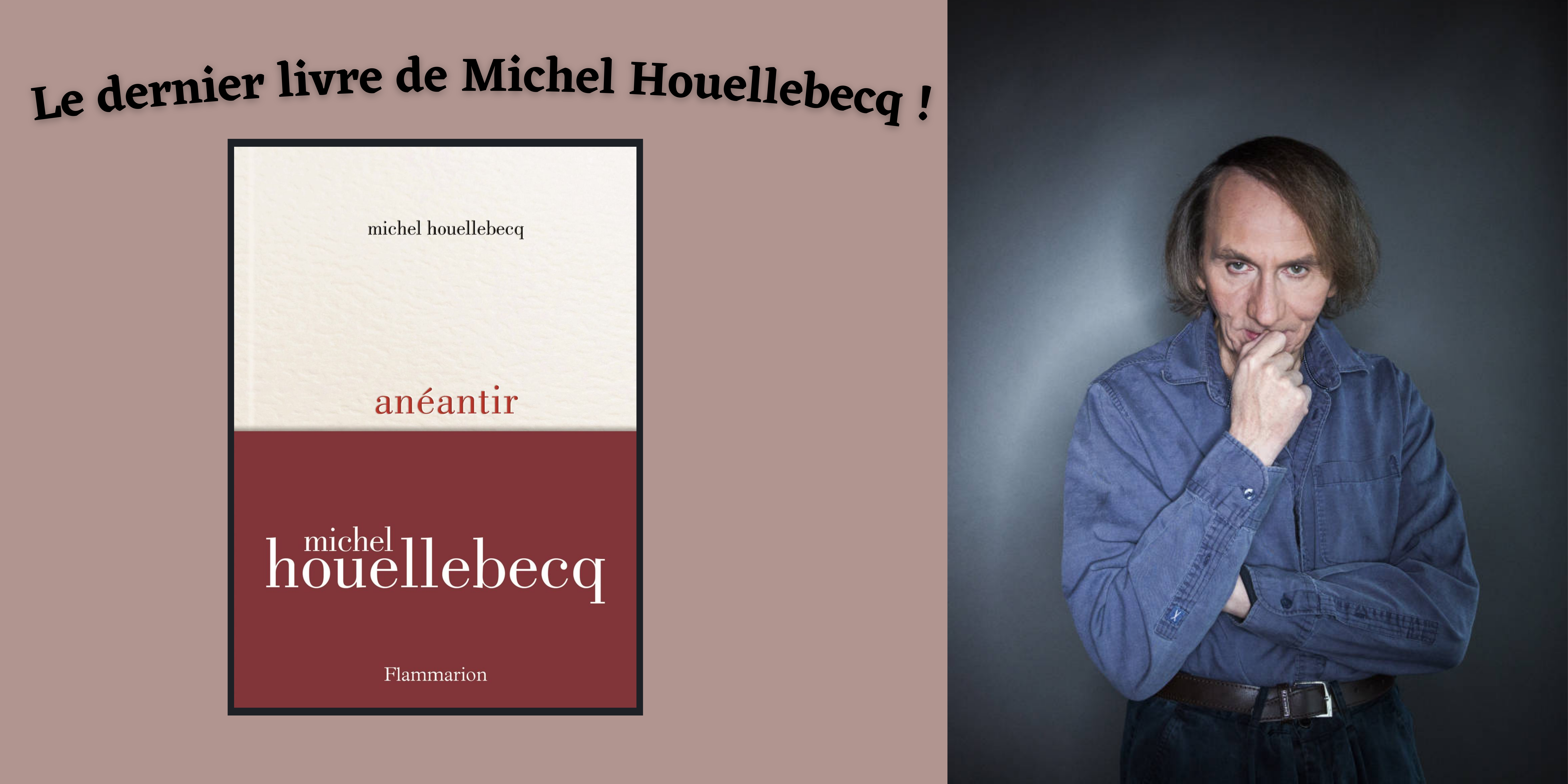 anéantir - Michel Houellebecq