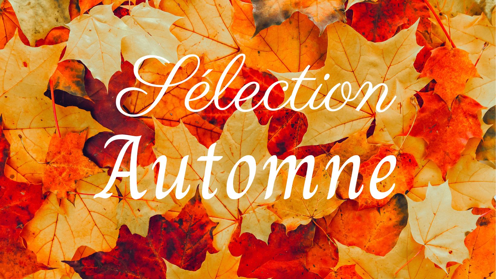 Sélection Automne