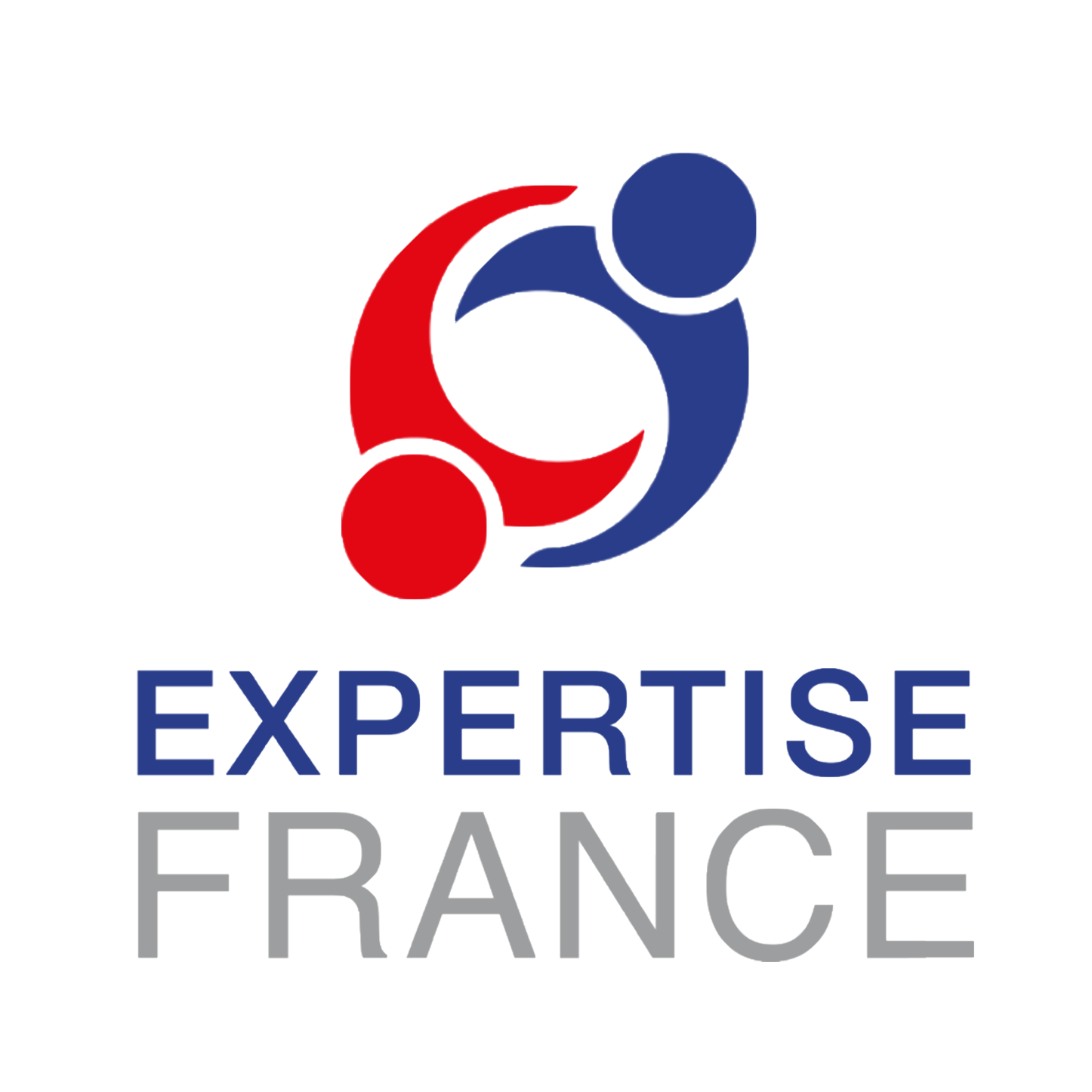 Logo projet Expertise France