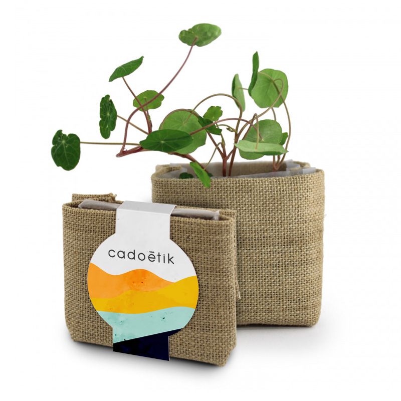 kit de plantation publicitaire Pocket coco avec pot en jute 1
