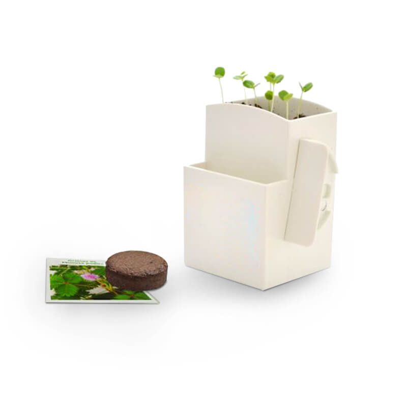 Goodies entreprise - La Végétal-Box Kit graines