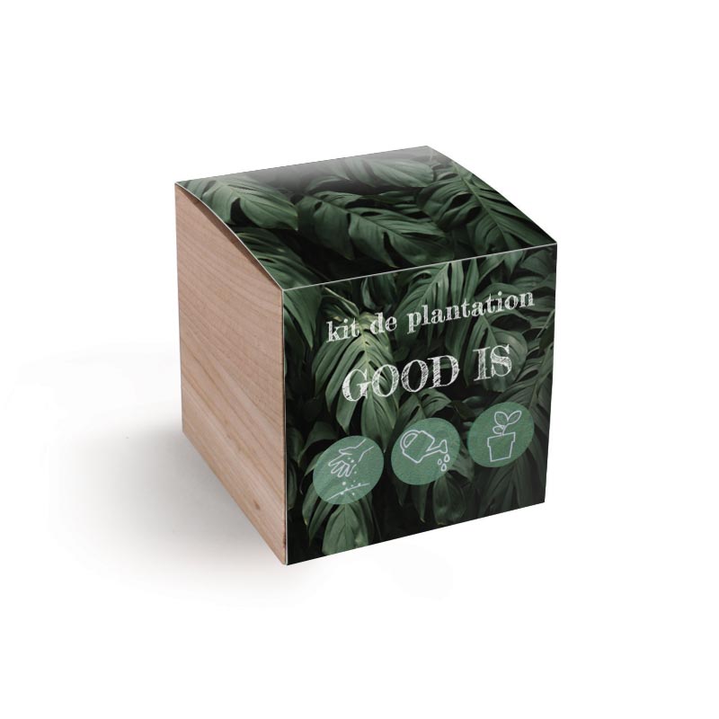 Cube en bois à graines