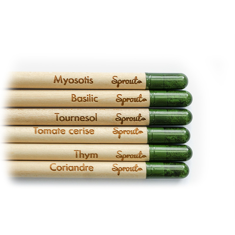 Le crayon à planter Sprout
