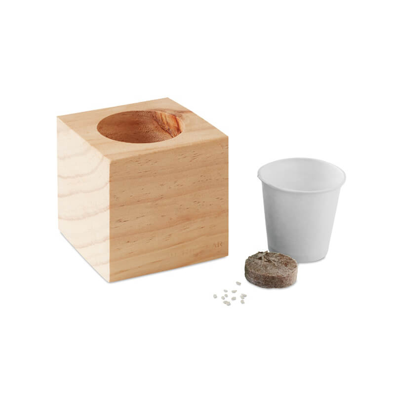 Graines à planter - Cadeau d'entreprise - Pot en bois avec graine  Minthy