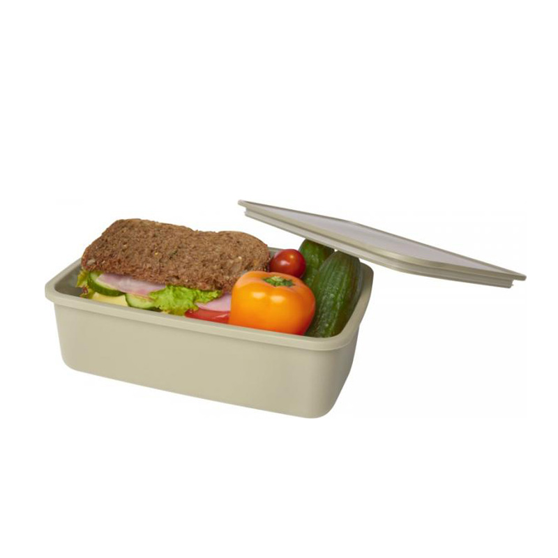 Lunch box en plastique recyclé Dovi_4