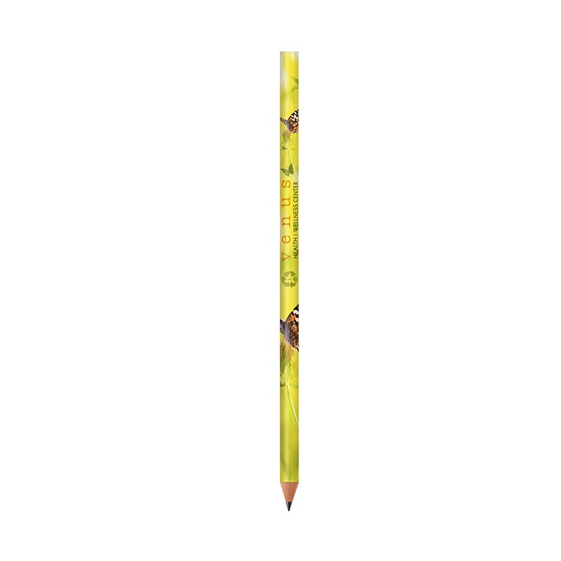 Crayon à papier BIC® Ecolutions Evolution Classic_2