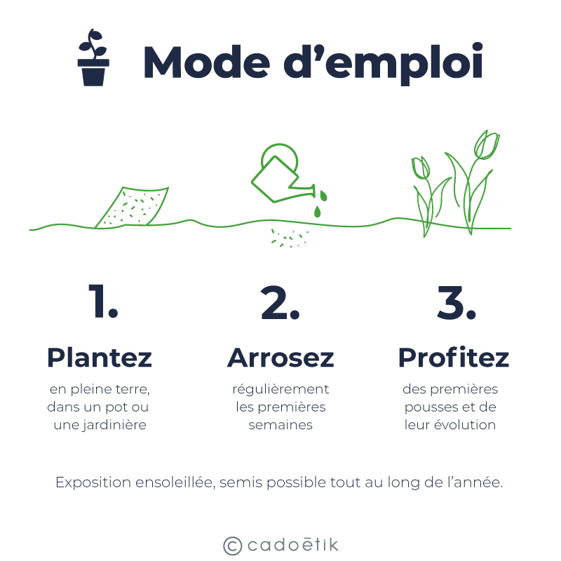 Carte avec 10 bâtonnets à planter Zip_4