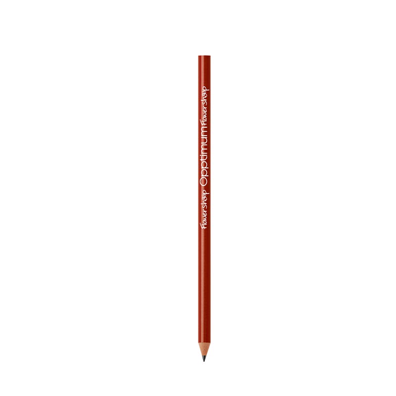 Crayon à papier BIC® Ecolutions Evolution Classic_3